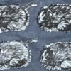 Close-up of hand-printed opossums on a blue-grey tee